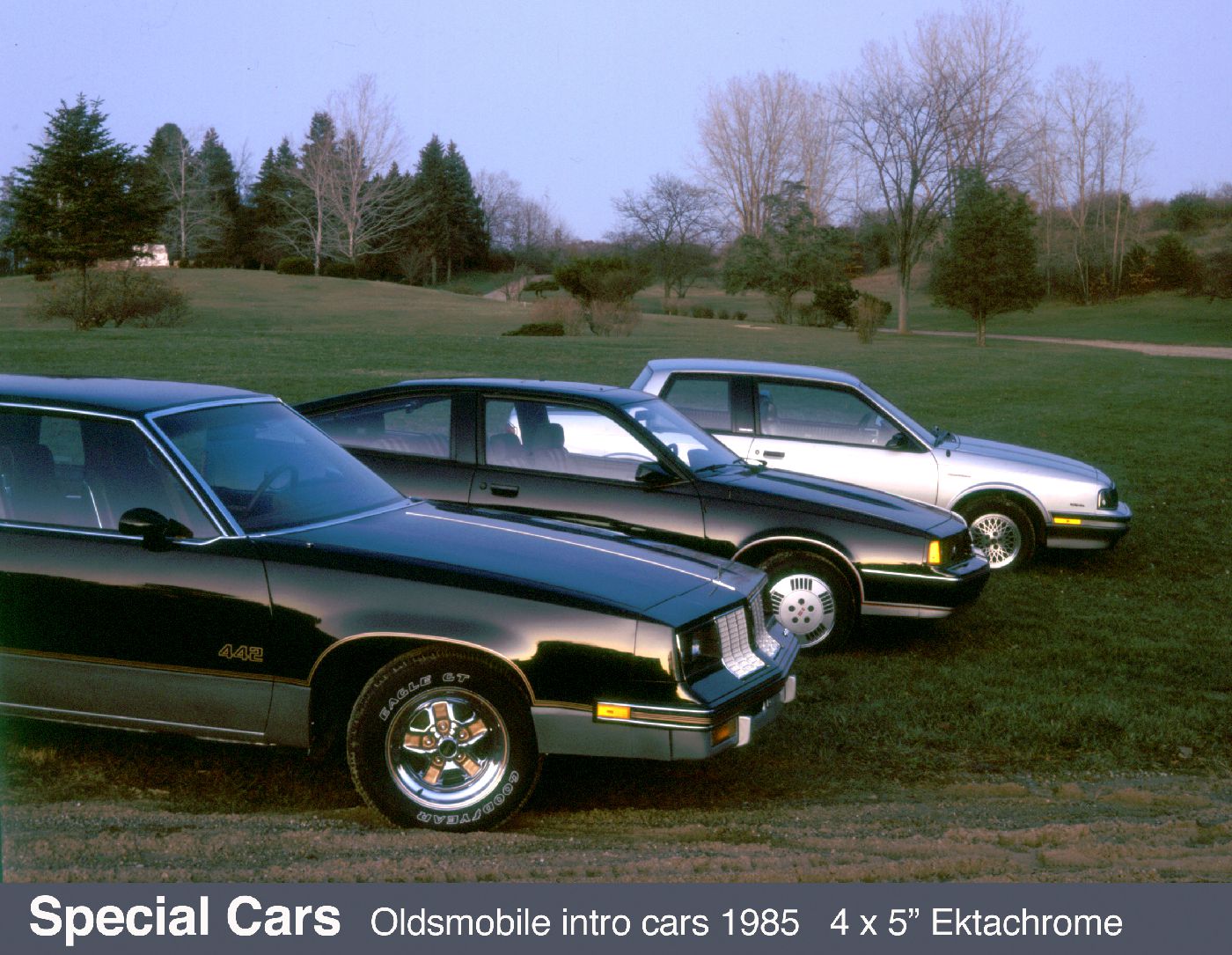 Intro - photos - advertising