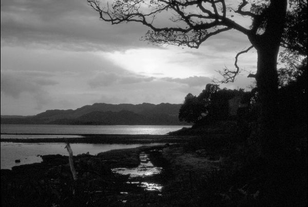 Thumb for Photography Gallery