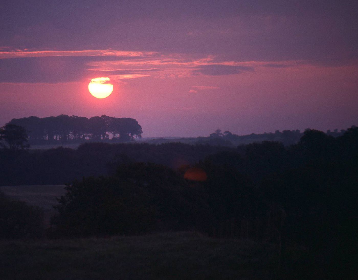 Intro- print gallery